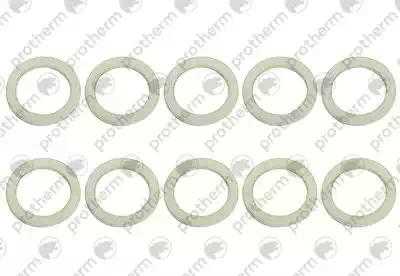 Прокладка (10 шт) Protherm