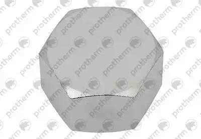 Трубка (L=597 mm, D=18 mm) Protherm