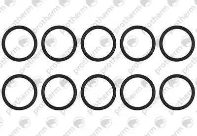 Уплотнение (10 штук) Protherm