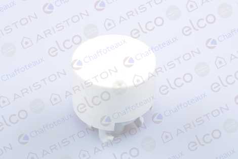 РУЧКА БЕЛАЯ