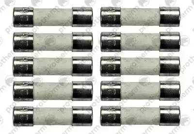 Предохранитель 2,0 A T2H (10 штук) Protherm