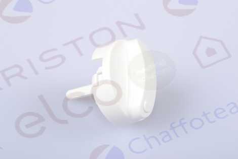 РУЧКА БЕЛАЯ