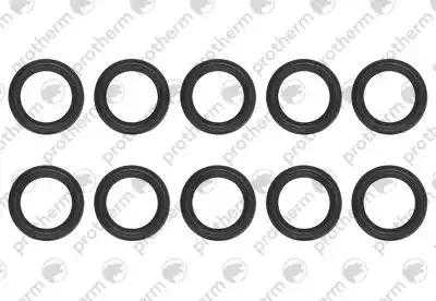 Прокладка 10 шт. Protherm