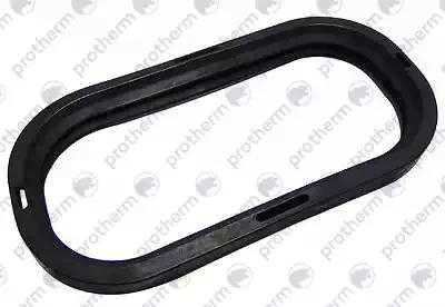 Вытяжная труба Protherm