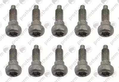 Горелка Protherm