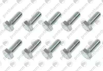 Болт Мх10 Protherm