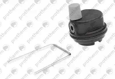 Воздухоотводчик (старый 0020018569) Protherm