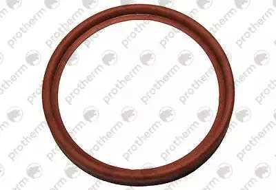 Lip seal, silicone (DN 60)