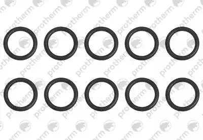 Прокладка (10 штук) Protherm