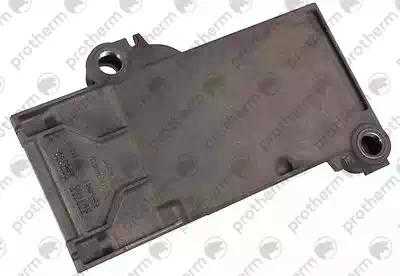 Левый сегмент, секция котла Protherm Медведь