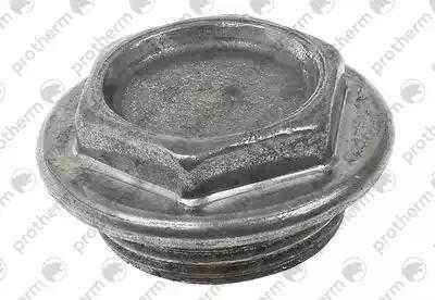Заглушка 5/4″ Protherm