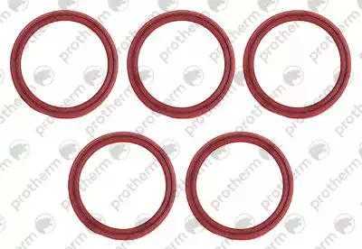 Прокладка 51х41х4 (5 шт) Protherm