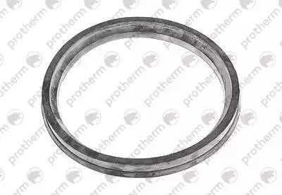 Прокладка Protherm