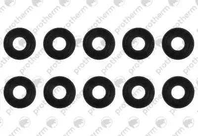 Прокладка (10 штук) Protherm