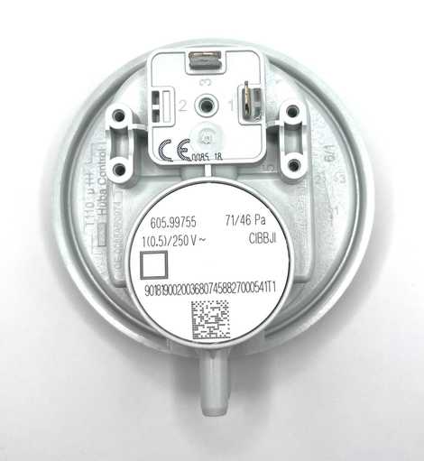 Реле давления (старый 0020097998) Protherm