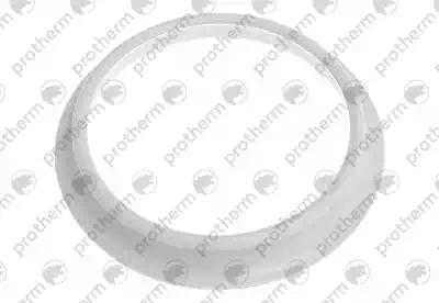 Прокладка фланца бойлера 90L KLZ Protherm