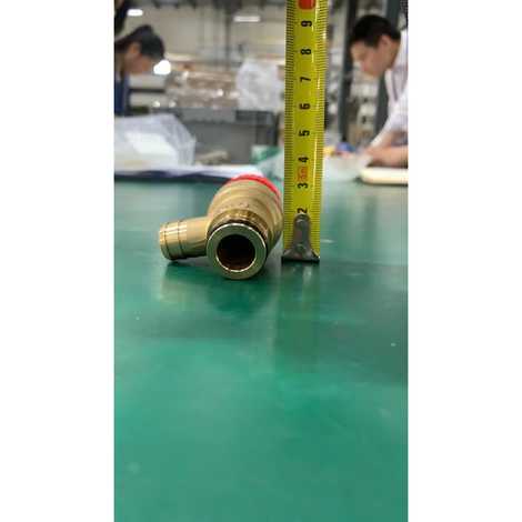 Клапан предохранительный