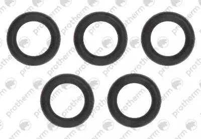 Прокладка (5 штук) Protherm