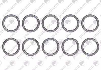 Прокладка (10 штук) Protherm