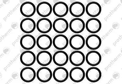 Прокладка бай-пасса (S5421500) Protherm