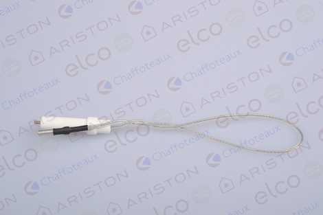 ЭЛЕКТРОД И ЗАПАЛЬНИК В СБОРЕ