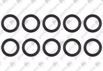 Прокладка (10 штук) Protherm