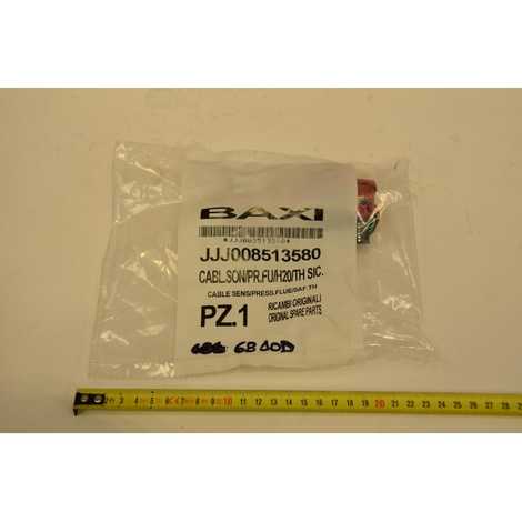 Проводка электрическая (датчик температуры, прессостат контура отопления, термостат перегрева, датчик тяги)